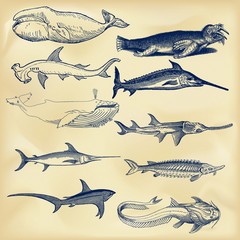 Vintage nautical collection