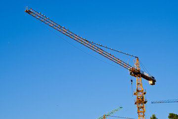 Big Cranes with Gulls on the Blue Background.