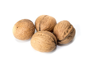 Walnut