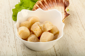 Raw scallops heap