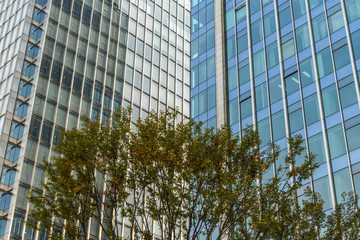 Fototapeta na wymiar modern office building with green trees