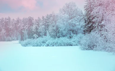 Crédence de cuisine en verre imprimé Hiver Winter landscape. Xmas background with white snowflakes. Sunlight in the winter forest. Latvia
