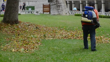 field of ripe wheat ready for harvesting