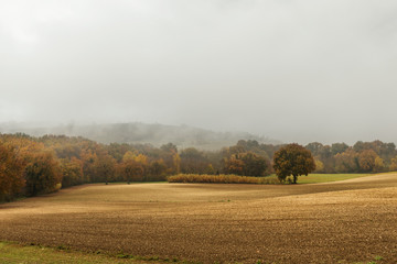 Autumn landscape in the countryside, plowed fields and woods, bad weather