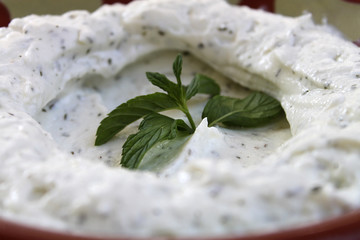Labneh with Garlic and Mint Closeup