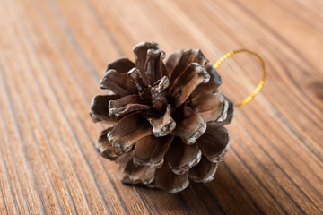 pine cone on a wood background