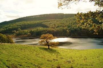 A scenic image from Ladybower Reservoir  in the English Peak District.