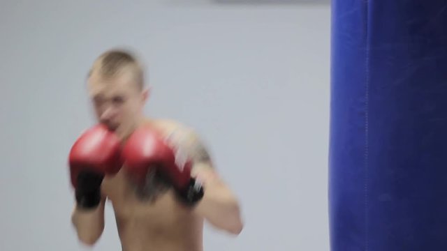 young adult man boxing in gym