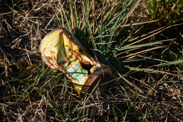 Garbage in the field. Oxidized tin.