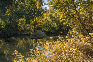 Autumn colors. Henares river.