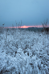Sunset after snowfall.