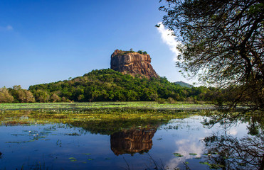 Fototapeta na wymiar Sigiriya the lion rock in Sri Lanka