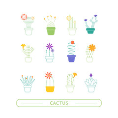 Set of cactus icon