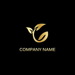 gold leaf seed vector logo