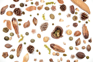Traditional Christmas card background image. Selection of pine cones, berries, nuts isolated on white background.