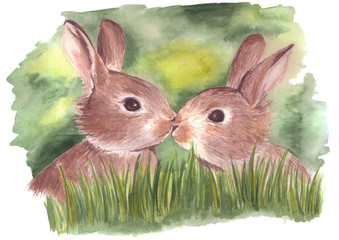 Hand drawn watercolor illustration of two little bunnies in grass