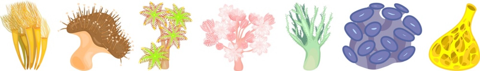 Set of different species of soft corals on white background © Kazakova Maryia