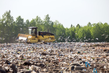 bulldozer in the dump rams up garbage and birds fly