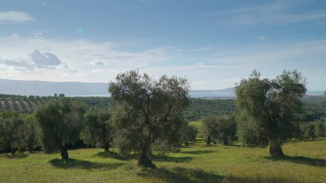 15142_The_horizon_of_the_big_farm_in_Rodi.mov