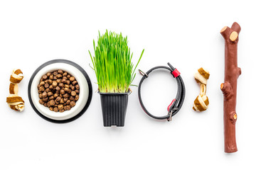 Toys for dog stick and ribbon bone near collar, dry food in bowl and grass in pot on white background top view