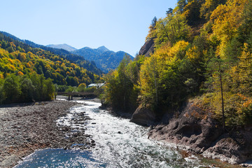 Sunlit whitewater of mountain river with yellow trees on banks