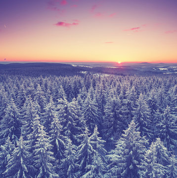 romantischer Blick über den Winterwald