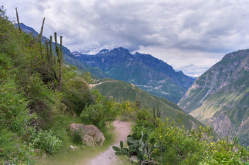 View of Canyon Colca, Peru