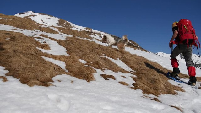 Trekking invernale sulla neve