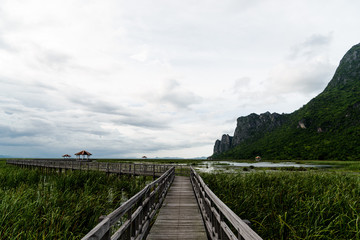 Stormy Weather at Freshwater Marsh
