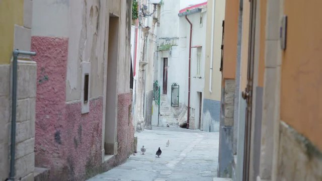 15154_Pink_and_yellow_colors_of_the_houses.mov