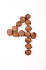 figure four nuts on white background, isolated