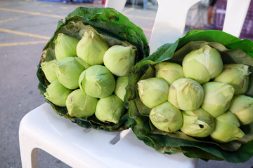 Bouquet of fresh green lotus buds at flower market