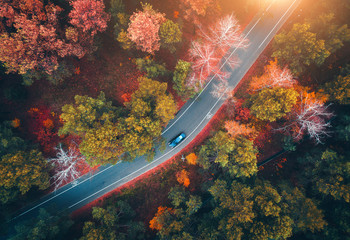 Vue aérienne de la route avec voiture floue dans la forêt d& 39 automne au coucher du soleil. Paysage incroyable avec route rurale, arbres aux feuilles rouges et oranges en journée. Autoroute à travers le parc. Vue de dessus du drone volant.Nature
