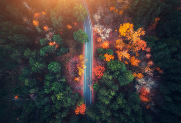 Aerial view of road in beautiful autumn forest at sunset. Beautiful landscape with empty rural road, trees with green, red and orange leaves. Highway through the park. Top view from flying drone - obrazy, fototapety, plakaty