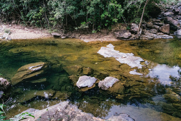 Small mountain stream in the shade of the tropical forest with snag tree in the foreground, Mu Koh Chang National Park, Chang island, Thailand. Path to the Khlong Phlu waterfall. Natural background.