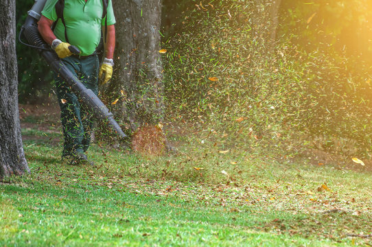 Man Working With Leaf Blower In The Park.