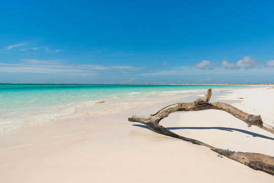 Spectacular Caribbean Beach at the Tortuga Island