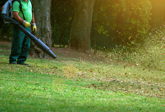 Man working with leaf blower in the park.