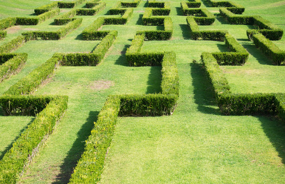 Labyrinth in park in the summer.