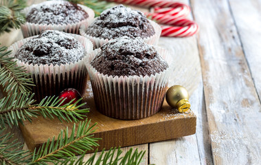 Chocolate cupcakes with powdered sugar