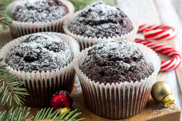 Chocolate cupcakes with powdered sugar