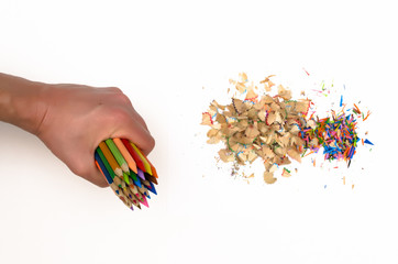 Male hand holds a color pencils near shavings from a color pencils isolated on white background.