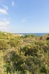 Fototapeta na wymiar Cape Martinet on the island of Ibiza, Baleares, Spain 