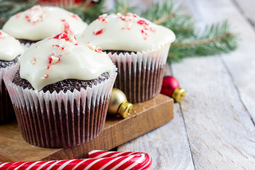 Chocolate cupcakes with candy cane
