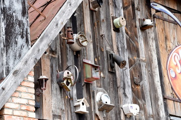 Sperlingslust in Zirkow