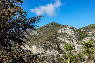 Fototapeta na wymiar green plants on mountain in valley 