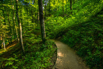Obraz premium Plitvice Lakes National Park, Croatia, Balkan Peninsula, Europe