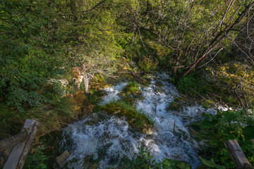 Naklejka na ściany i meble Plitvice Lakes National Park, Croatia, Balkan Peninsula, Europe