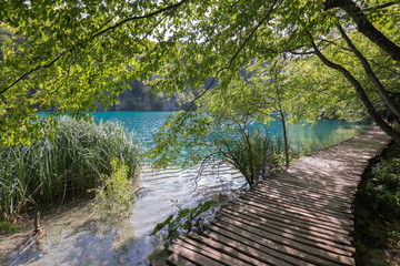 Fototapeta premium Plitvice Lakes National Park, Croatia, Balkan Peninsula, Europe