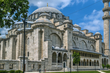 Fototapeta na wymiar Suleymaniye Mosque, Istanbul, Turkey